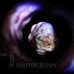 jjphoto
